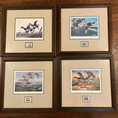 Ducks In Flight 