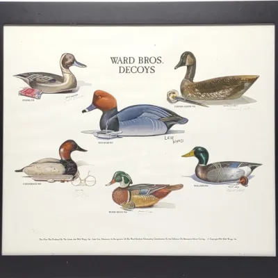 Sale Photo Thumbnail #563: Multi Carver Signed Ward Bros Decoys Duck Print