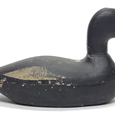 Sale Photo Thumbnail #551: White-winged Scoter Hollow Body Duck Decoy