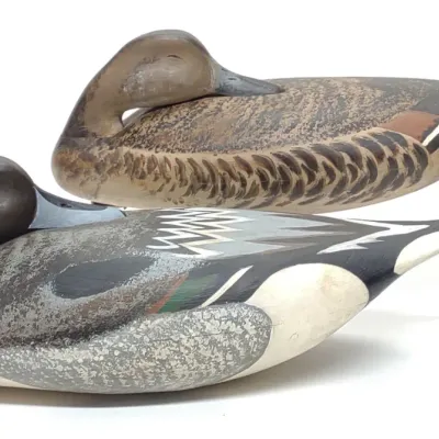 Sale Photo Thumbnail #211: Anthony Hillman Pintail Drake & Hen Duck Decoys