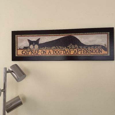 Sale Photo Thumbnail #31: Framed horizontal wall art featuring a tuxedo cat and the phrase 'Cat Nap On A Dog Day Afternoon', shown alongside a brushed metal floor lamp.