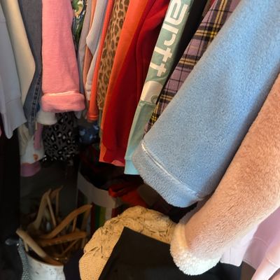Sale Photo Thumbnail #57: Closet filled with various modern apparel including fleece jackets, long-sleeve shirts, and a Carhartt garment, with wooden hangers stored below.