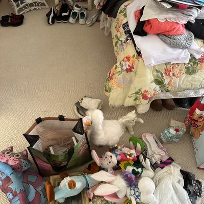 Sale Photo Thumbnail #50: Assortment of household items including plush toys, a cat figure, a framed picture, tote bags, and clothing spread out on the carpet near a bed.