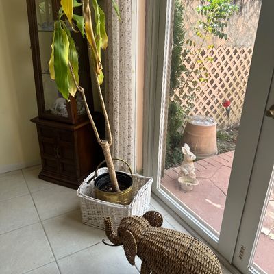Sale Photo Thumbnail #10: Woven wicker elephant sculpture standing near a potted corn plant in a white basket, next to a traditional wooden curio cabinet.