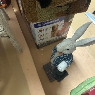 Sale Photo Thumbnail #19: Painted resin rabbit statue wearing a blue plaid jacket and holding a lantern, standing near household storage items.