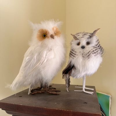 Sale Photo Thumbnail #8: Pair of faux feathered decorative owl figurines resting on a wooden surface.