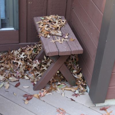 Sale Photo Thumbnail #33: Small brown wooden X-frame bench sitting on an outdoor patio, covered in fallen leaves.