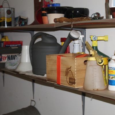 Sale Photo Thumbnail #151: Wall-mounted garage shelving lined with various household and gardening supplies, including a Harry & David wooden pear crate, watering can, sprayers, and chemicals.