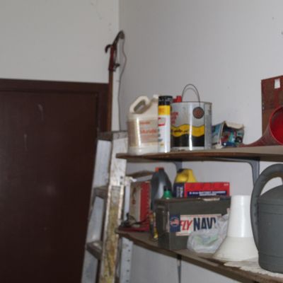 Sale Photo Thumbnail #152: Assorted garage and workshop supplies on wall shelves, including a plastic watering can, metal ammo box, paint cans, and various household chemicals alongside a stepladder.