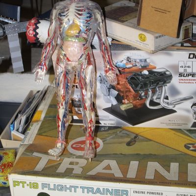 Sale Photo Thumbnail #102: Vintage 'The Visible Man' anatomical plastic model figure standing on a PT-19 Flight Trainer model kit box.