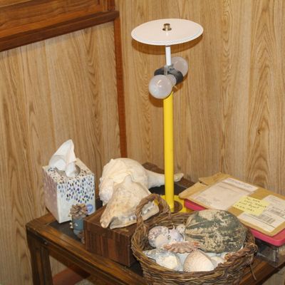 Sale Photo Thumbnail #125: Vintage yellow post table lamp with perforated diffuser ring, displayed on a wooden side table alongside large seashells, a woven basket of smaller shells, and household items.