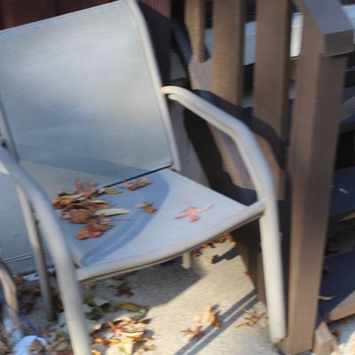 Sale Photo Thumbnail #28: Modern outdoor armchair with a light gray metal frame and mesh fabric seat, shown with fallen leaves on the seat.