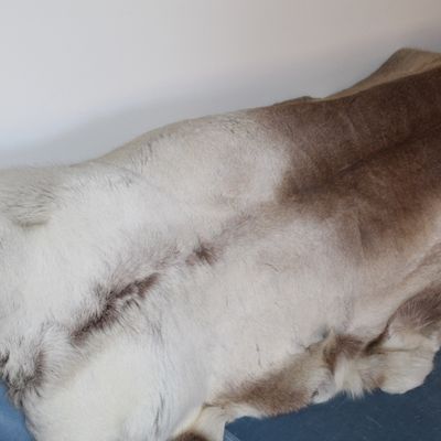 Sale Photo Thumbnail #35: Natural animal hide throw draped over a blue sofa, featuring a mix of tan, grey, and white fur tones.