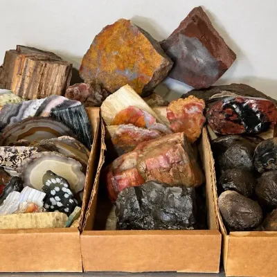 Large Assortment of Agate, Jasper, Petrified Wood & Rock Specimens  