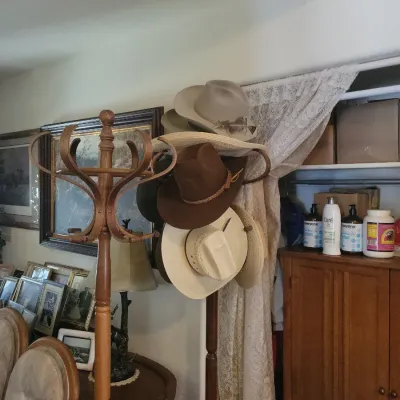 Sale Photo Thumbnail #61: Resistol, Stetson and other beaver hats.