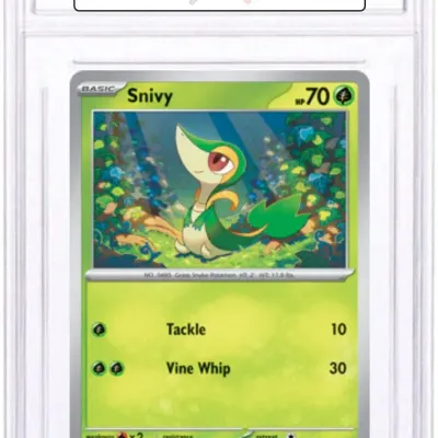 Sale Photo Thumbnail #700
