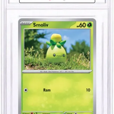 Sale Photo Thumbnail #516