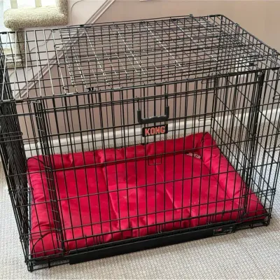 Kong Large Dog Crate With Bedding