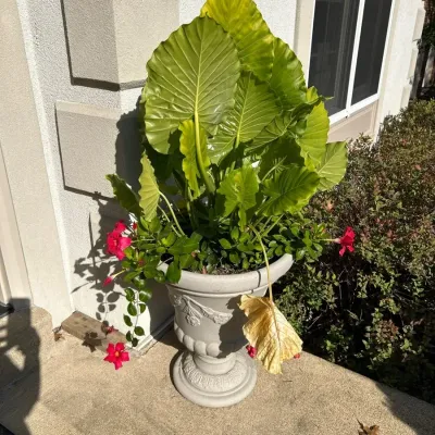 Two Urn Planters