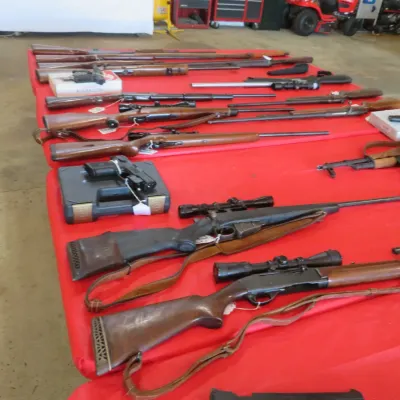 Sale Photo Thumbnail #4: Large collection of long guns and handguns, including bolt-action and semi-automatic rifles with scopes, displayed on a red-covered table.
