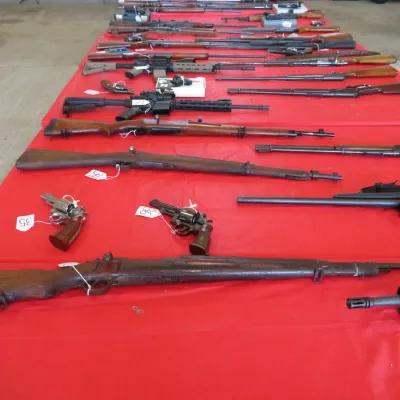 Sale Photo Thumbnail #2: Large collection of firearms, including vintage bolt-action rifles, modern sporting rifles, lever-action rifles, and revolvers, laid out on red table runners.
