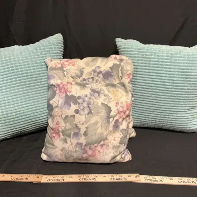 Decorative Pillow Lot 
