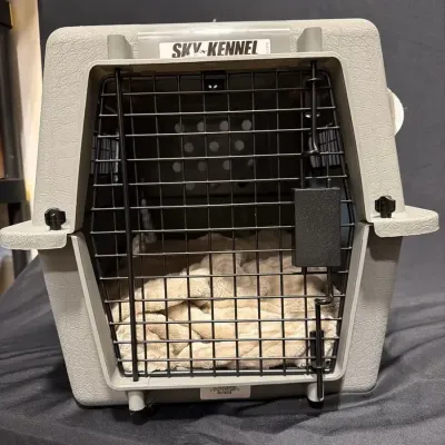 Small Dog Kennel