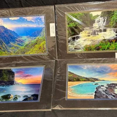 Hawaii Art