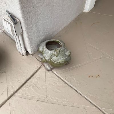 Sale Photo Thumbnail #18: Vintage ceramic or concrete frog-shaped planter with a weathered green finish, sitting outdoors on a patio.