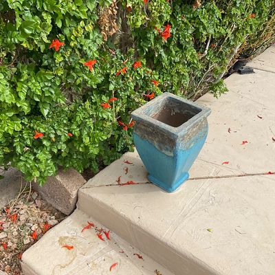 Sale Photo Thumbnail #27: Square glazed ceramic garden planter featuring a turquoise body with a distressed beige rim, sitting on concrete patio steps.