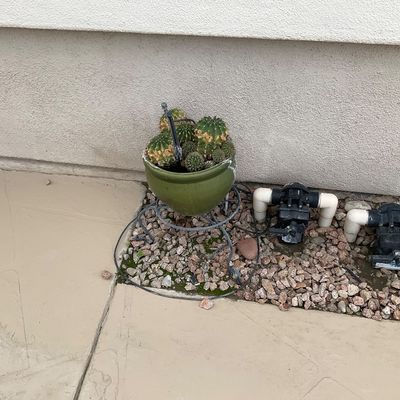 Sale Photo Thumbnail #21: Potted cactus plant in a green glazed ceramic pot, sitting on a low metal plant stand outdoors next to irrigation valves.
