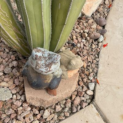 Sale Photo Thumbnail #28: Pair of concrete and stone frog garden statues nestled beside a large cactus, showing weathered paint and outdoor wear.