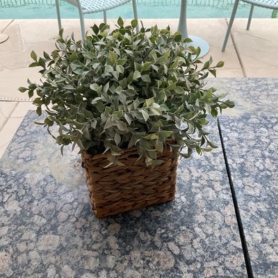 Sale Photo Thumbnail #49: Faux leafy green plant presented in a square woven seagrass or rattan basket planter.