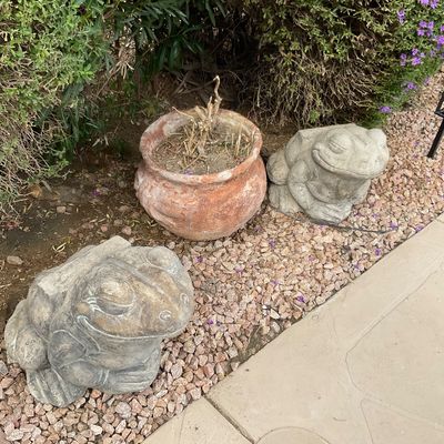Sale Photo Thumbnail #36: Two concrete frog garden statues and an weathered terracotta planter sitting in a gravel garden bed.