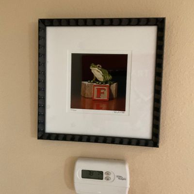 Sale Photo Thumbnail #136: Framed limited-edition art print featuring a frog sitting atop letter blocks, mounted in a dark textured frame above a White-Rodgers digital thermostat.