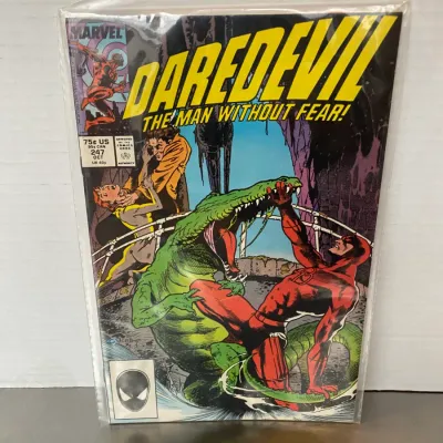 Sale Photo Thumbnail #49: Marvel Comics Daredevil #247 from October 1987, bagged and boarded.