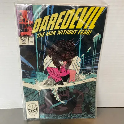 Sale Photo Thumbnail #40: Vintage Marvel Daredevil #256 comic book from July 1988, featuring Typhoid Mary on the cover, bagged and boarded.