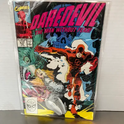Sale Photo Thumbnail #28: Marvel Comics Daredevil #277, published February 1990, bagged and boarded in good condition.