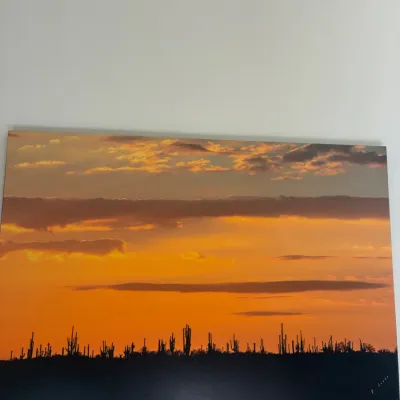 Sale Photo Thumbnail #57