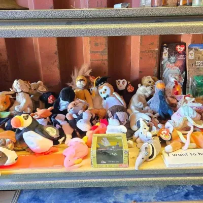 6030 mixed beanie babies and plushies