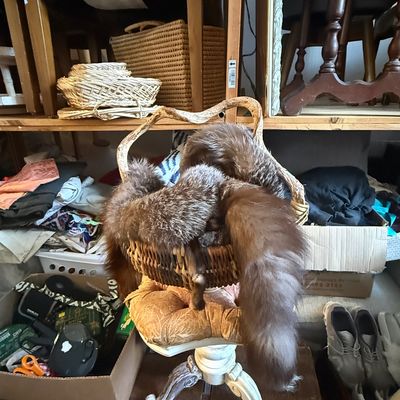 Vintage real fur stole or collar displayed inside a woven wicker basket on a small upholstered footstool.