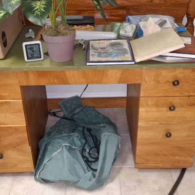 Sale Photo Thumbnail #181: Vintage light wood desk with a green top surface, featuring multi-drawer pedestals holding various household items, books, and a potted plant.