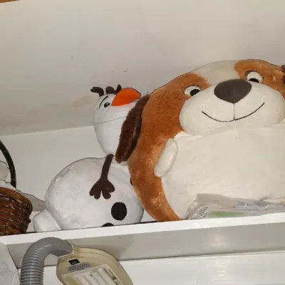 Selection of plush toys stored on a closet shelf, including Disney's Frozen Olaf and a large round dog pillow plush.