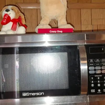 Emerson stainless steel countertop microwave oven with digital keypad, displayed with plush toy dogs on top.