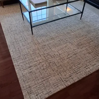 Sale Photo Thumbnail #59: Contemporary woven area rug with a subtle neutral grid pattern, staged in a living room setting under a black metal and glass coffee table.