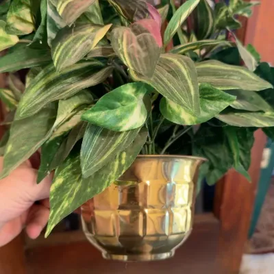 Sale Photo Thumbnail #63: Brass vase and faux plant