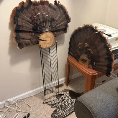 Sale Photo Thumbnail #340: Turkey taxidermy