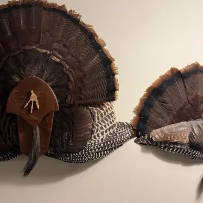 Sale Photo Thumbnail #343: Turkey taxidermy