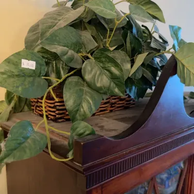Sale Photo Thumbnail #73: Faux plant