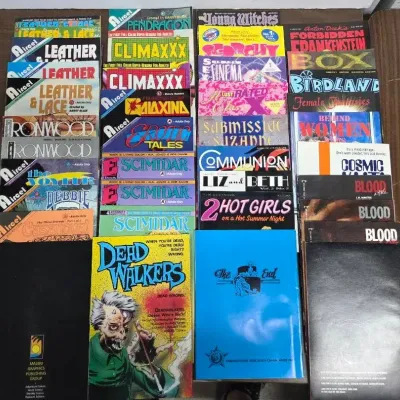 ADULTS ONLY Comic Book Collection 